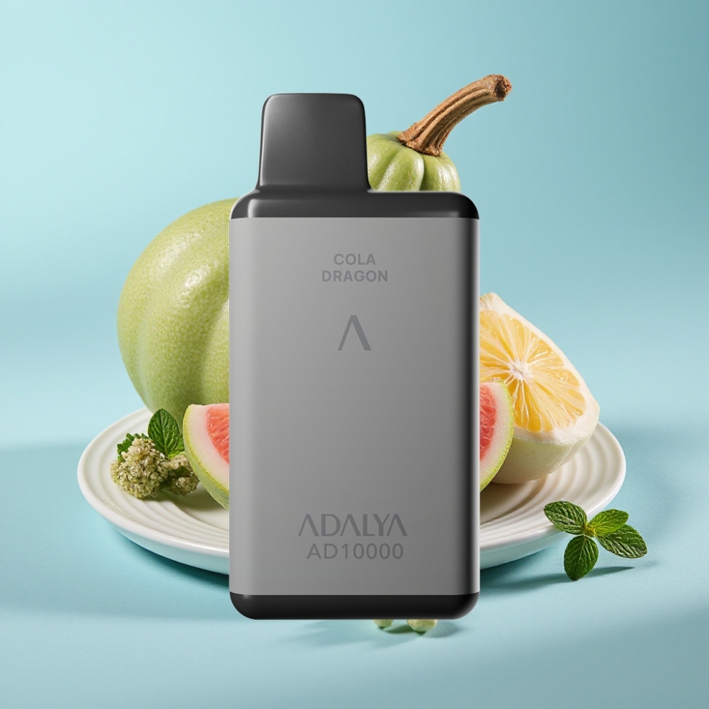Adalya AD 10000 Puffs Desechable Chile Vape Sabor Menta Punto, Gris Espacio, 14 ml, 2% Nicotina, Recargable USB-C