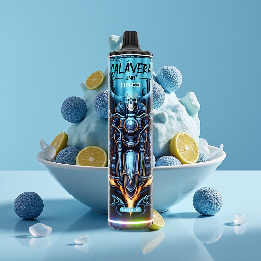 JNR Calavera 11000 Puffs Chile Vape Desechable Puerto Tipo-C Batería 850mAh 21ml E-Líquido Bobina Mesh 1.0ohm Sabor Mr Blue 0%,2%,5% Nicotina