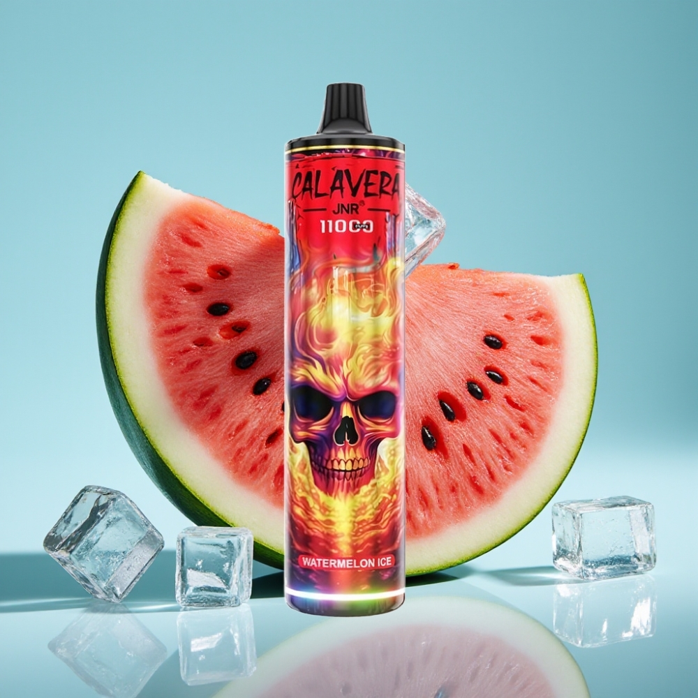 JNR Calavera 11000 Puffs Chile Vape Desechable Sandía Hielo: Puerto Type-C, Batería 850mAh, 21ml Líquido, Bobina Mesh 1.0Ω, 0%/2%/5% Nicotina