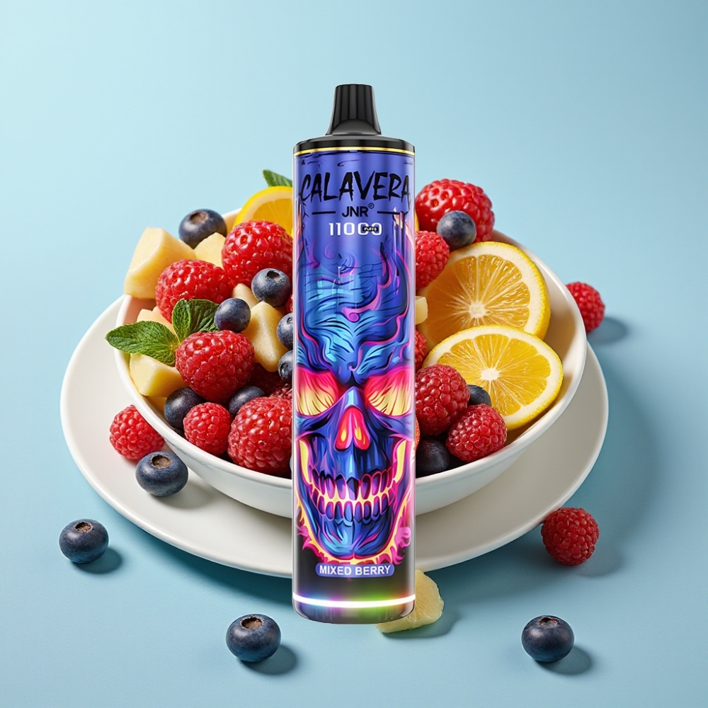 JNR Calavera 11000 Puffs Chile vape Desechable Puerto Tipo-C 850 mAh 21ml Malla 1.0ohm Sabores Berry Mix 0%/2%/5% Nicotina