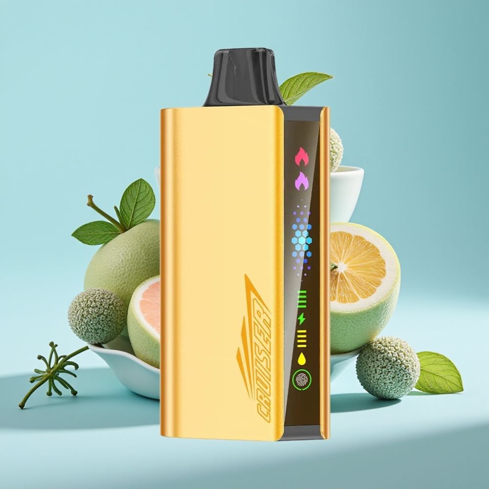 JNR Cruiser 12000 Puffs Vape Desechable Sin Carga Chile vape, Batería 3500 mAh, 25ml E-líquido, 50mg/mL Nicotina, Sabor Cool Mint