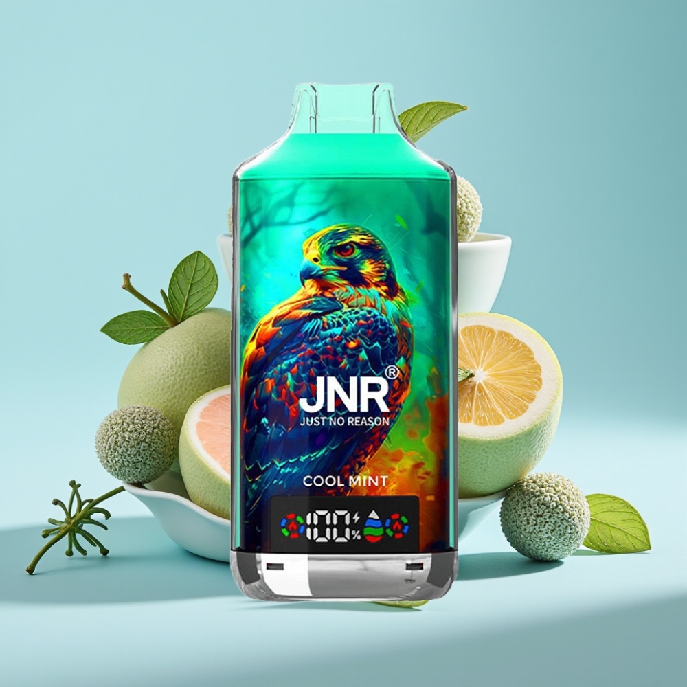 JNR Falcon X 18000 Puffs Disposable Vape Chile vape Menta Refrescante