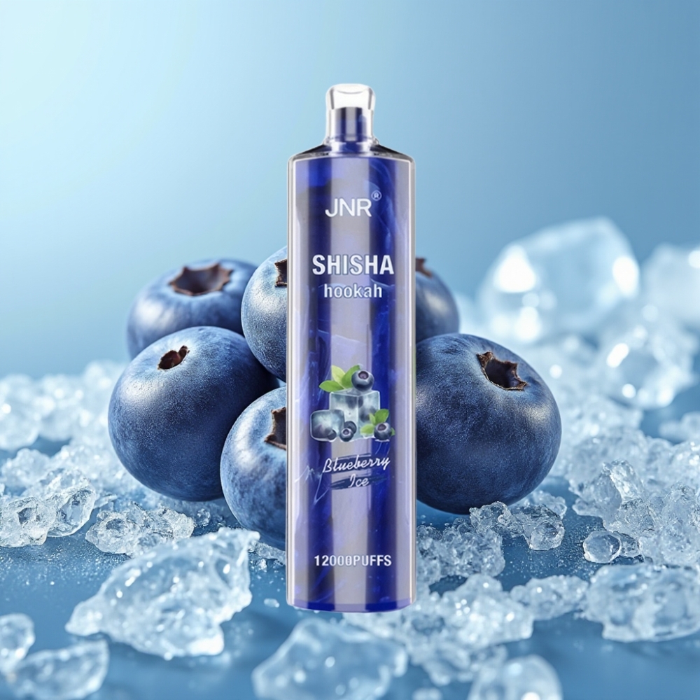 JNR Shisha Hookah 12000 Puffs Chile Vape Desechable Blueberry Ice – 24ml, 750mAh, Tipo-C, 0%/2% Nicotina
