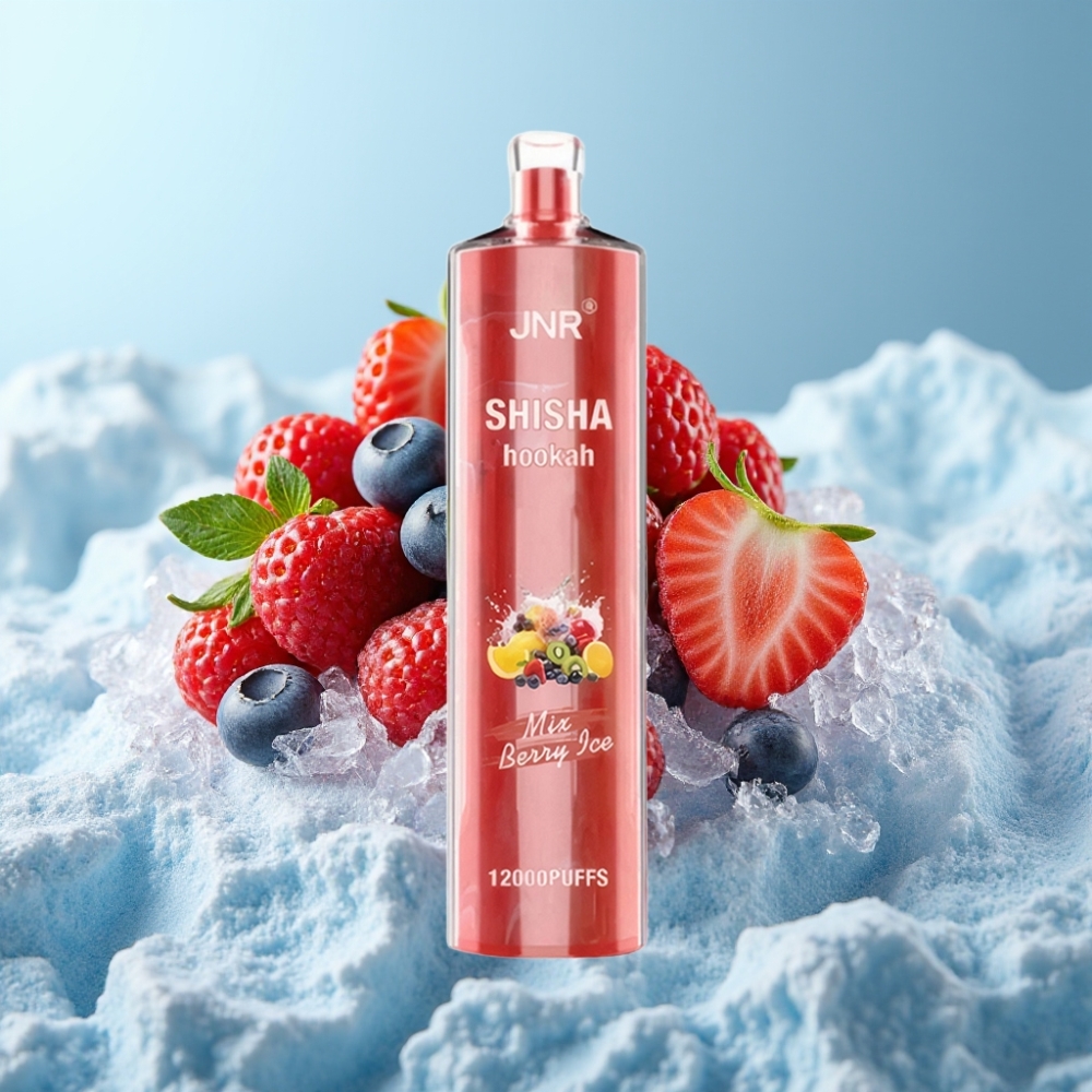 JNR Shisha Hookah 12000 Puffs Vape Desechable Chile vape Berry Ice, 24ml, 750mAh, Tipo-C