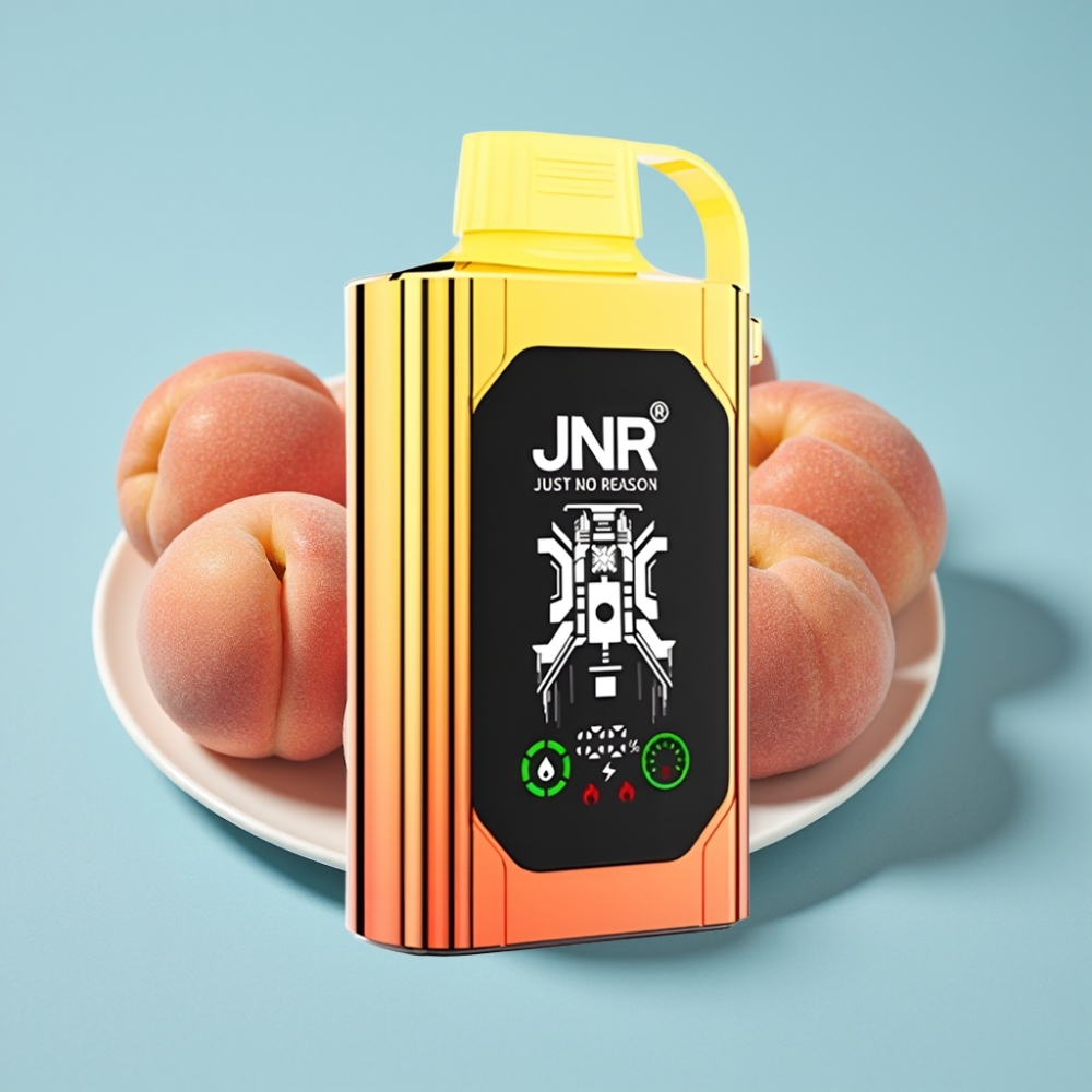 JNR Shisha Hookah Box 20500 Puffs Chile vape HD Display 1000mAh Tipo-C Jugoso Melocotón