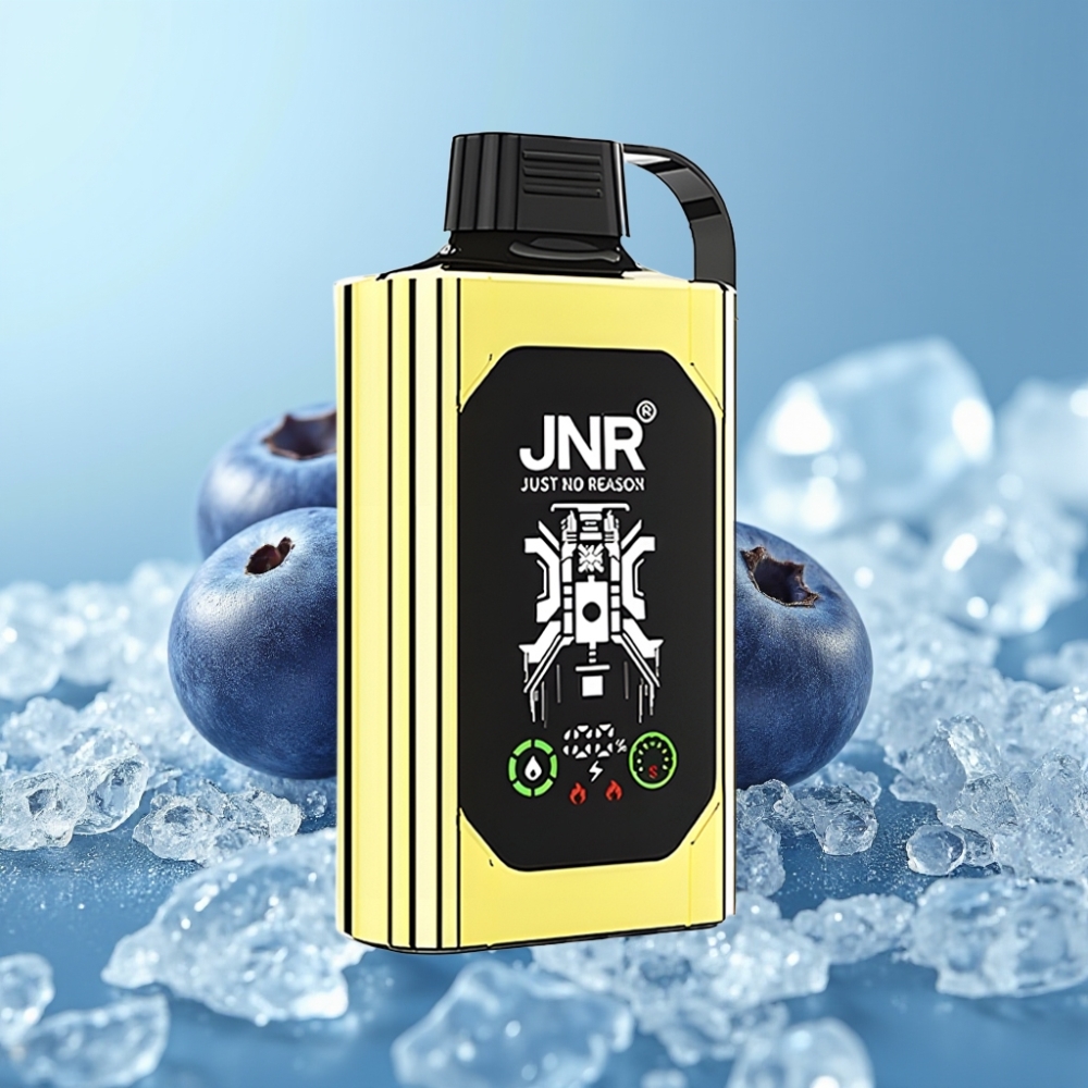 JNR Shisha Hookah Box 20500 Puffs Disposable Vape Chile vape Blueberry Ice HD Display 20500 Puffs 1000mAh 25ml Dual Mesh Coil Type-C 0%2%5%