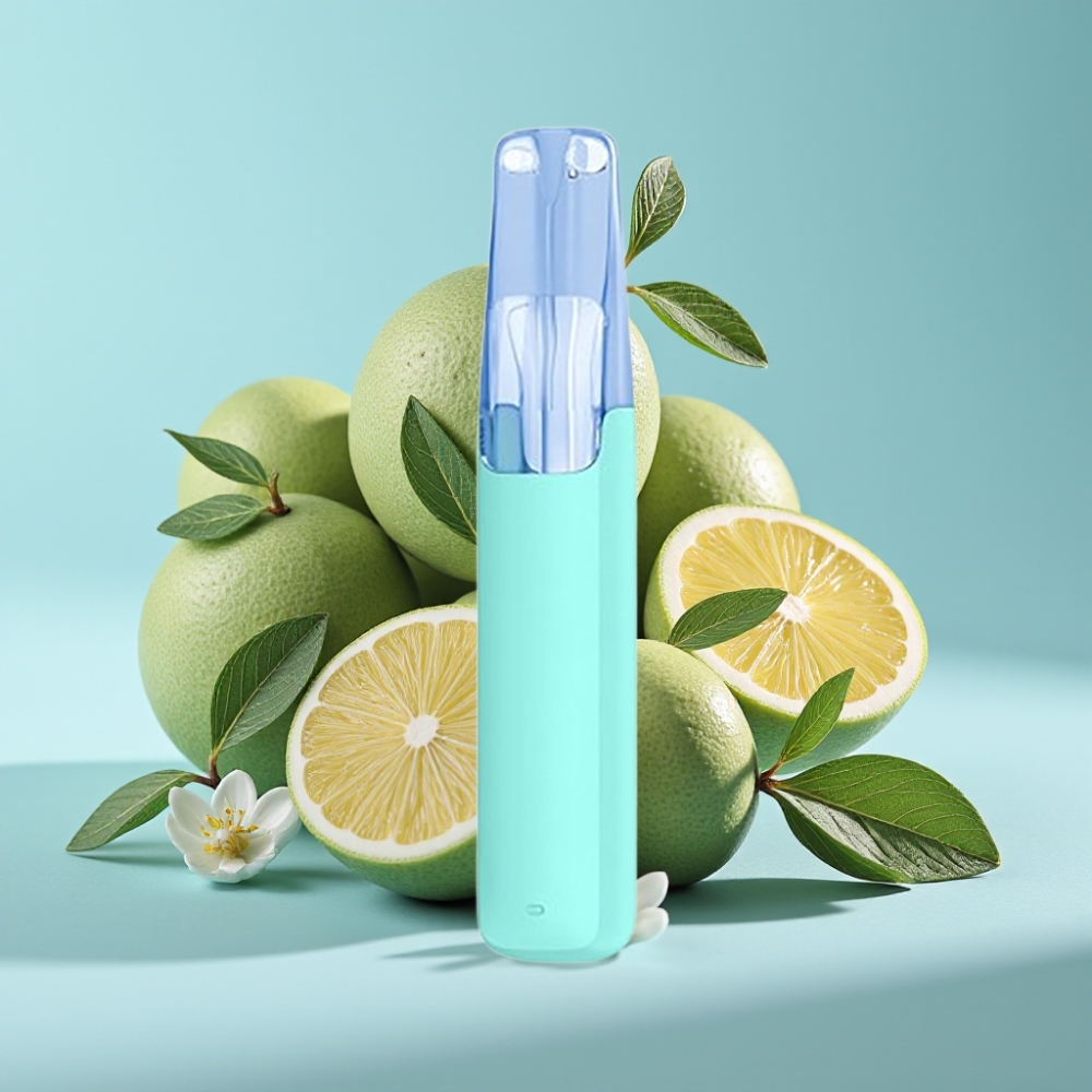 Snowplus Dash 4000 Puffs Dispositivo Desechable Chile Vape Atomizador Cerámico, Batería 530 mAh, 7.5 ml, Mentol Plus 3%/5%