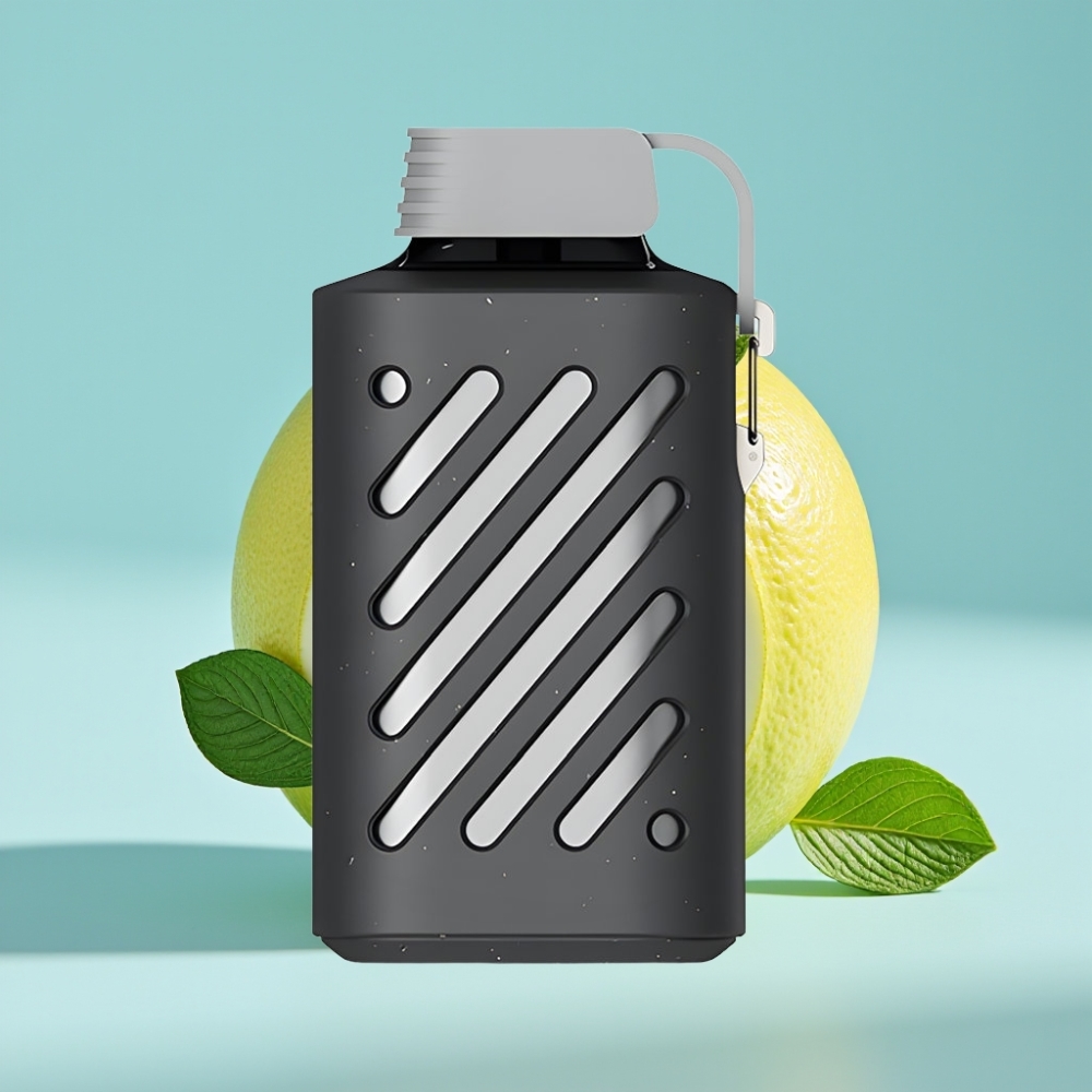VOZOL GEAR 10000 Desechable Chile Vape Sabor Limón Menta, 10000 Caladas, 30 Sabores, 20ml Capacidad, Bobina Malla VAMT