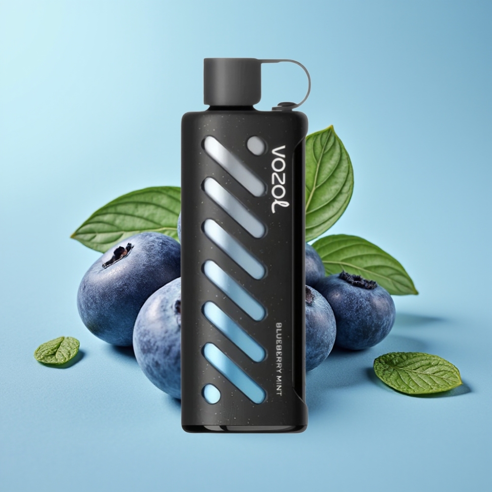 VOZOL Gear Shisha 25000 Puffs Chile vape Menta Arándano, 30 Sabores, S.i.L.C Tech, Doble Malla, 1000mAh, 5mg/ml