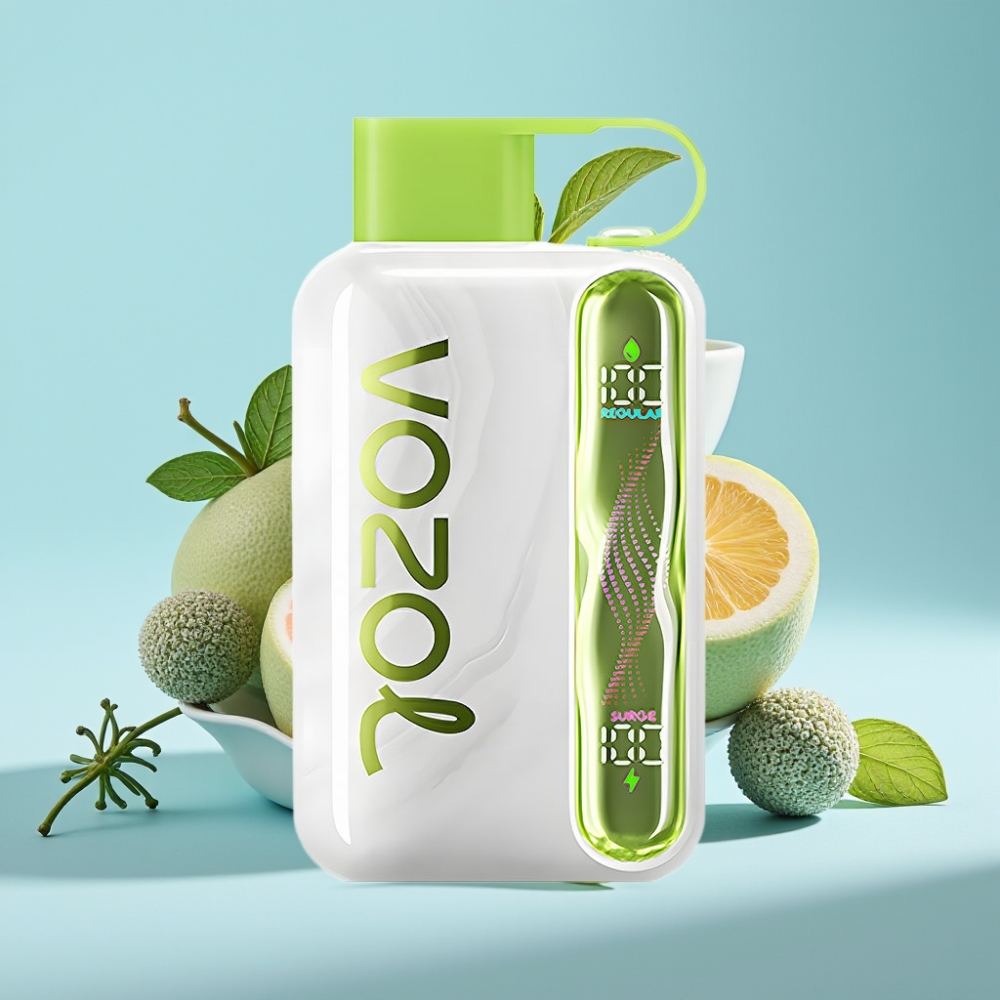 VOZOL STAR 40000 Puffs Vape Desechable Chile Vape Menta Fresca, Batería 1000mAh, Nicotina 20/50mg/ml, Tipo-C