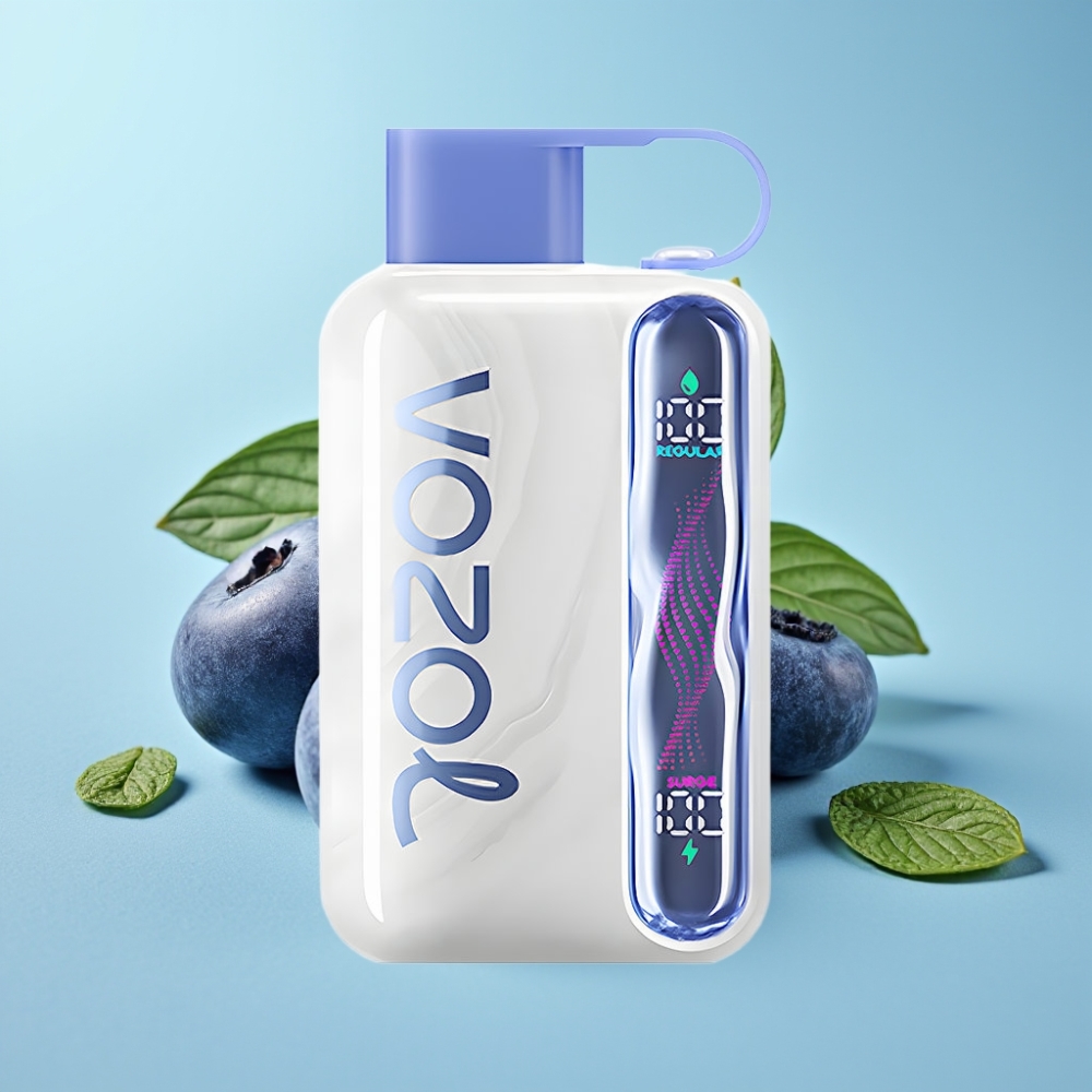 VOZOL STAR 40000 Puffs Vape Desechable Chile vape Arándano Menta, 1000mAh, 20/50mg/ml, Tipo-C