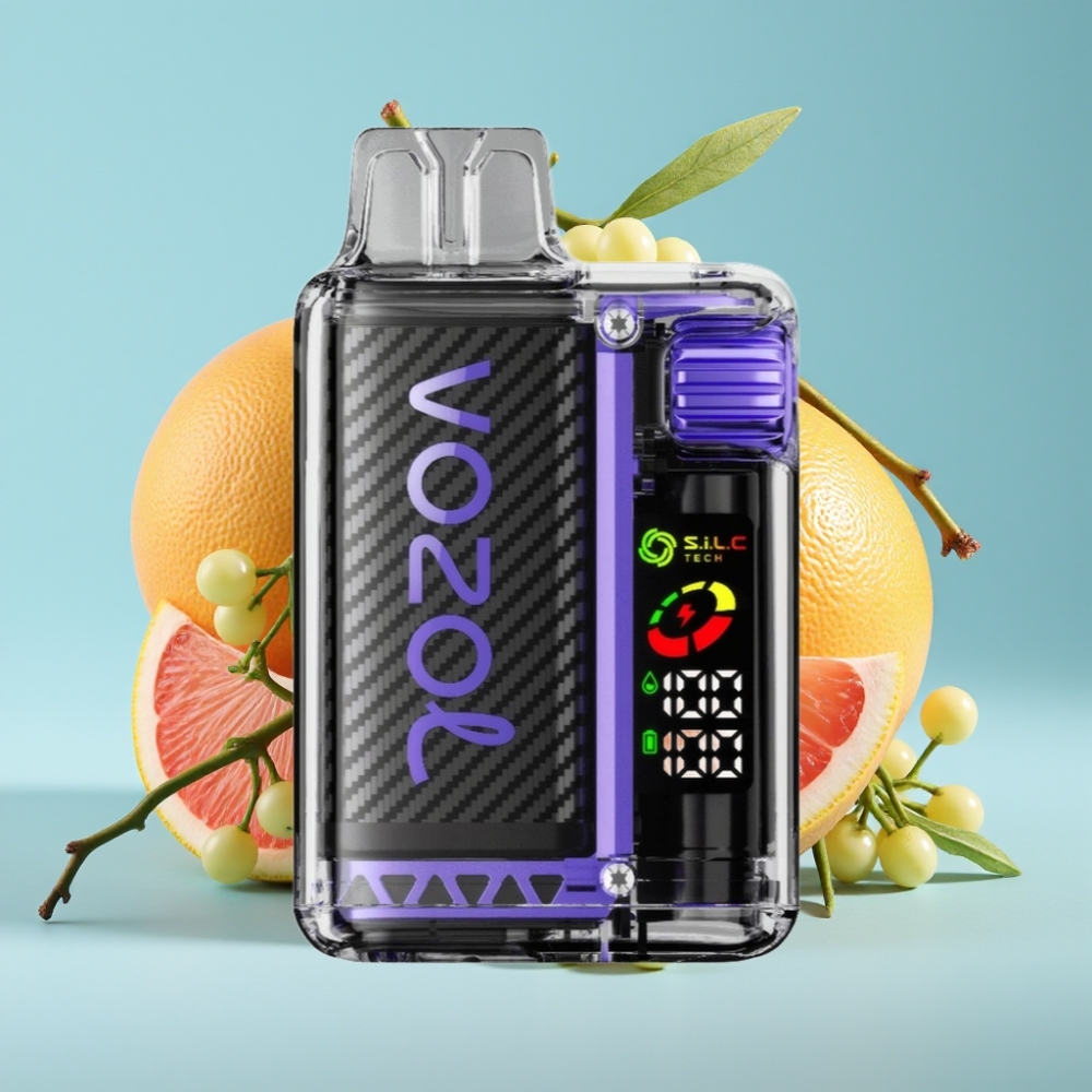 VOZOL Vista 20000 Puffs Chile Vape Recargable con Batería 650mAh, Resistencia Dual Mesh S.i.L.C, Sabor Saúco Pomelo, Ajuste de 6 Niveles, OLED, TPD