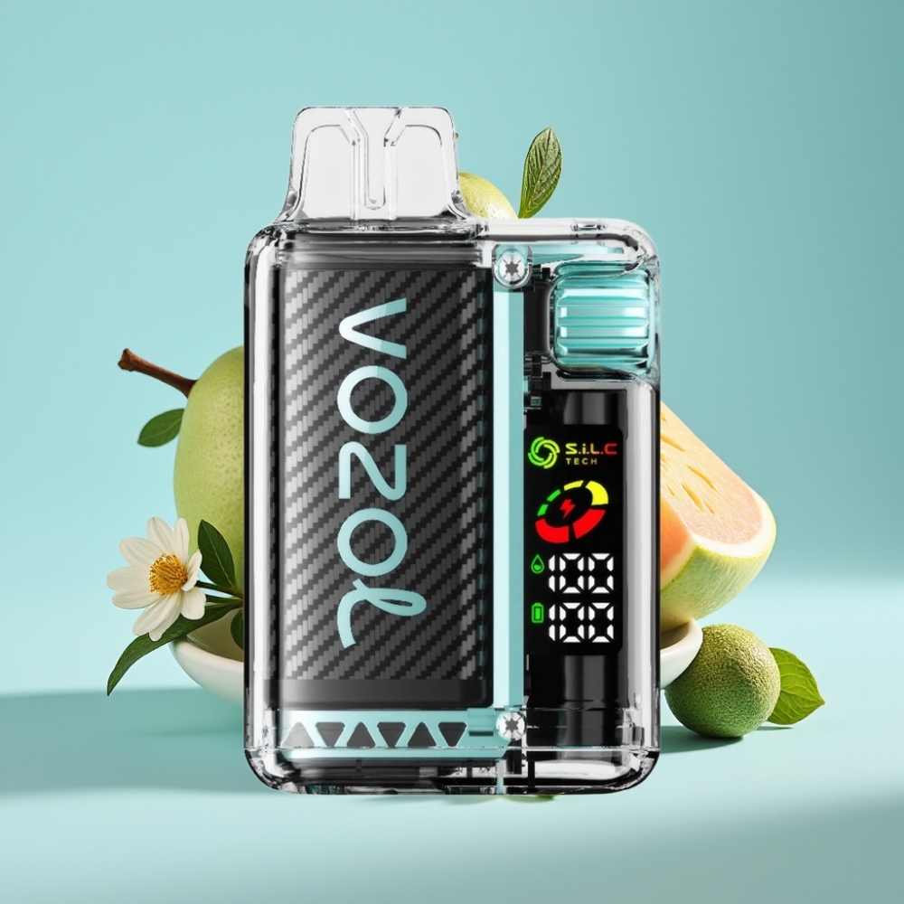 VOZOL Vista 20000 Puffs Vape Chile vape Miami Menta